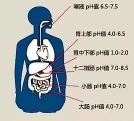 运城众泰肛肠医院：胃酸过多会有什么后果？