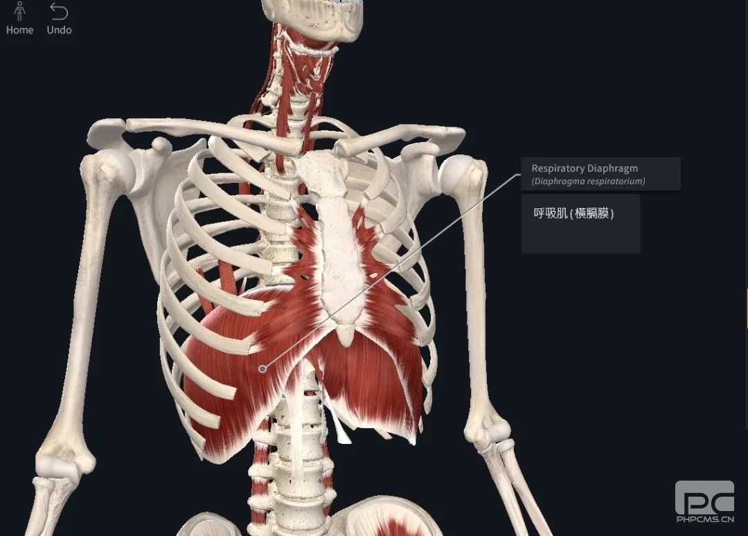 运城众泰肛肠医院：跑步时侧腹痛是什么原因
