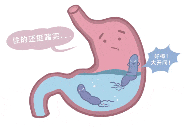 运城众泰肛肠医院：幽门螺杆菌高温能杀死吗？