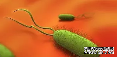 运城众泰肛肠医院：如何检查和治疗幽门螺杆菌？