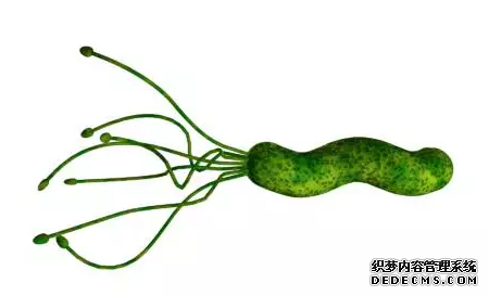 运城众泰肛肠医院：幽门螺旋杆菌有多可怕