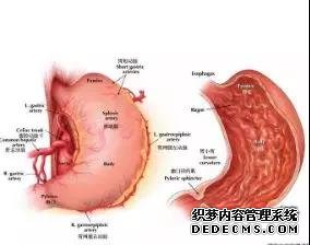 运城众泰肛肠医院：胃胀的危害有哪些？