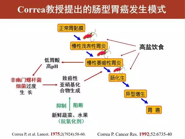 运城众泰肛肠医院：幽门螺杆菌，健康人查不查？没症状治不治？